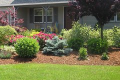 Color & form to complement architecture