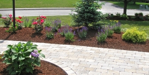 Welcoming curb appeal